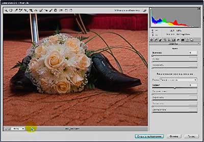 Новое в Potoshop CS5_Зернистость и виньетирование в Camera RAW 6.0